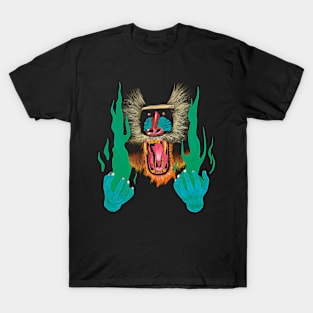 HIATUS KAIYOTE BAND T-Shirt